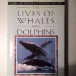 The Lives of Whales and Dolphins: From the American Museum of Natural History