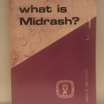 What Is Midrash? (NEW TESTAMENT SERIES)