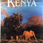 Kenya (World Traveler Series)