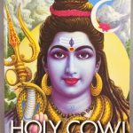 Holy Cow! An Indian Adventure
