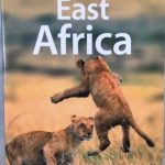 Lonely Planet East Africa (Multi Country Travel Guide)