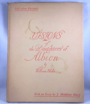 Visions of the Daughters of Albion