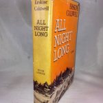 All Night Long: A Novel of Guerrilla Warfare in Russia