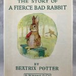 The Story of a Fierce Bad Rabbit