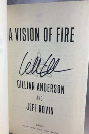 A Vision of Fire: Book 1 of The EarthEnd Saga