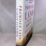 Promised Land: A Novel of Israel