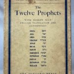 The Twelve Prophets: Hebrew Text, English Translation, and Commentary