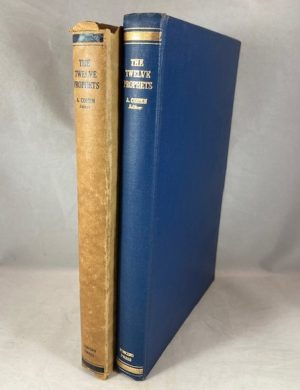 The Twelve Prophets: Hebrew Text, English Translation, and Commentary