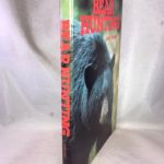 Bear Hunting