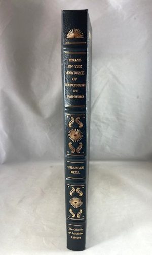 Essays on the Anatomy of Expression in Painting