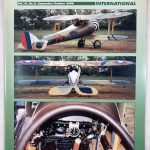 Windsock International Volume 16, No. 5, September/October 2000