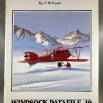 Windsock Datafile 19 - Albatros D.III(OEF)