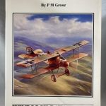 Windsock Datafile 47 - LFG Roland D.II