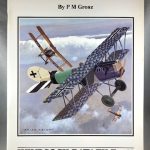 Windsock Datafile 41 - Pfalz D XII