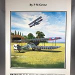 Windsock Datafile 69 - Halberstadt C.V