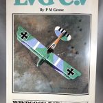 Windsock Datafile 71 - LVG C.V