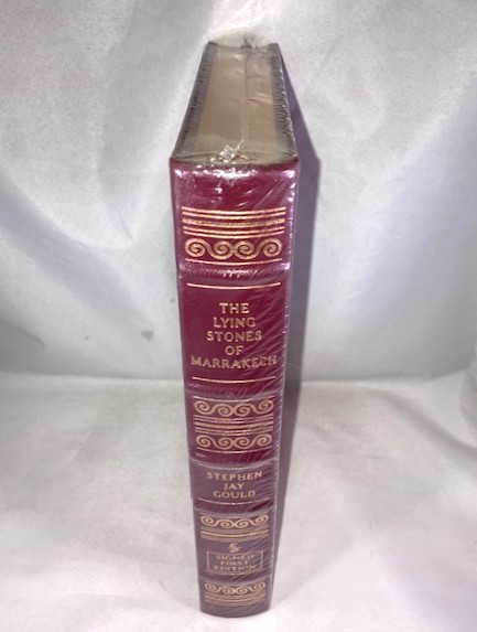 The Lying Stones of Marrakech