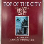 Top of the City: New York's Hidden Rooftop World